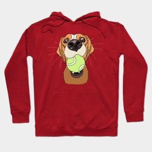 Funny dog with a ball in its mouth Hoodie